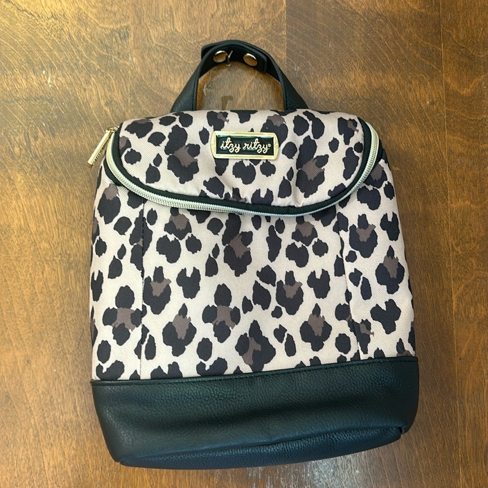 Itzy Ritzy Bottle Bag